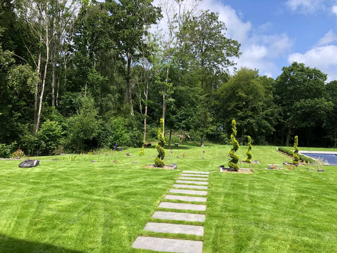 tree surgeon in tree isle of wight