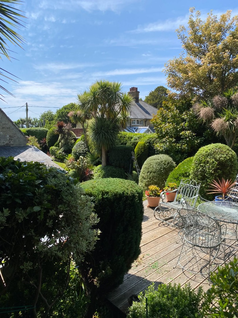 tree surgeon in tree isle of wight