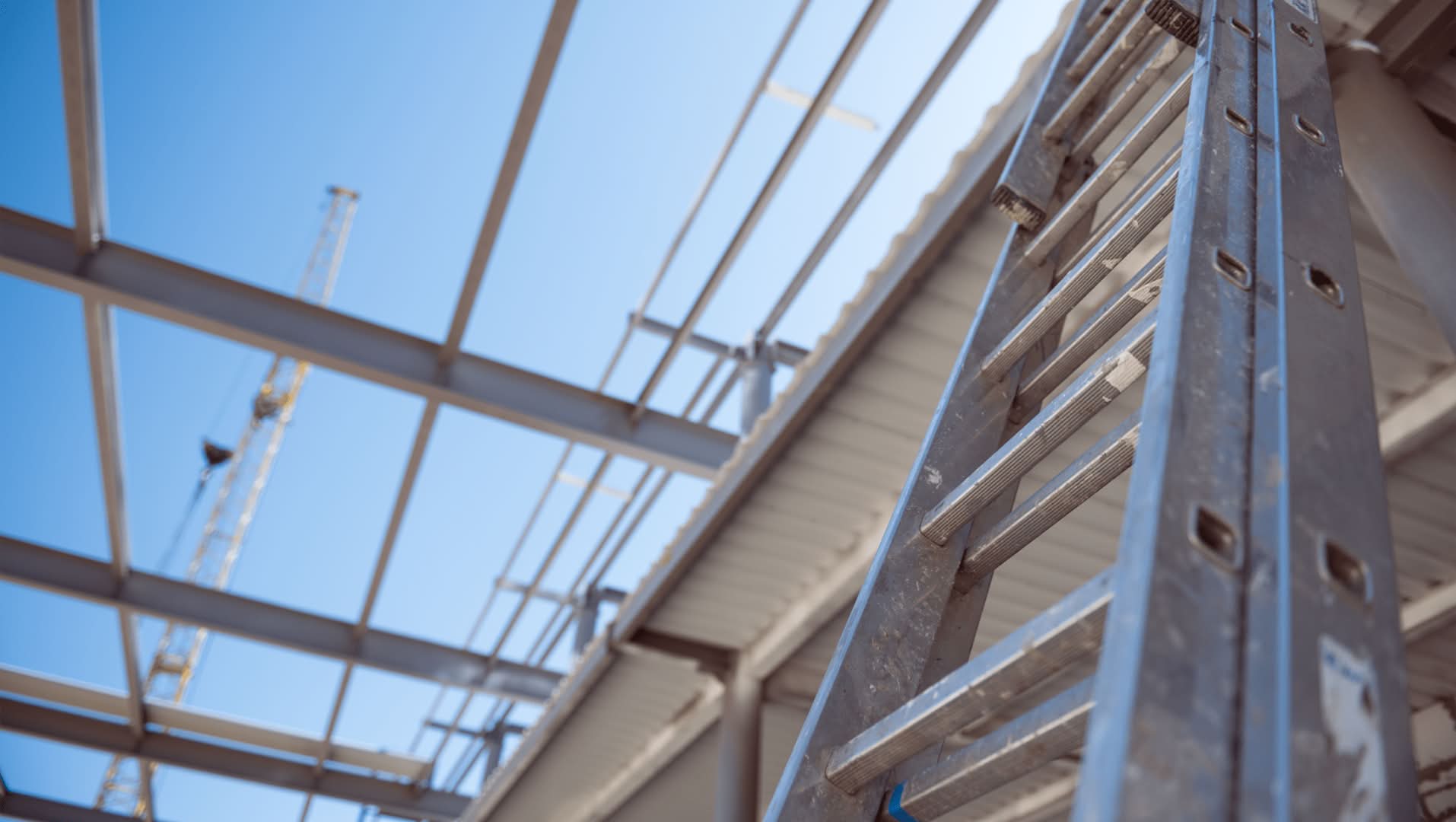 Scaffolding ladder