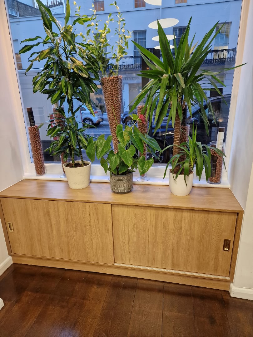 Wide commercial cabinet