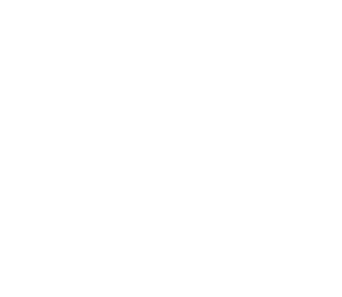 Logo white