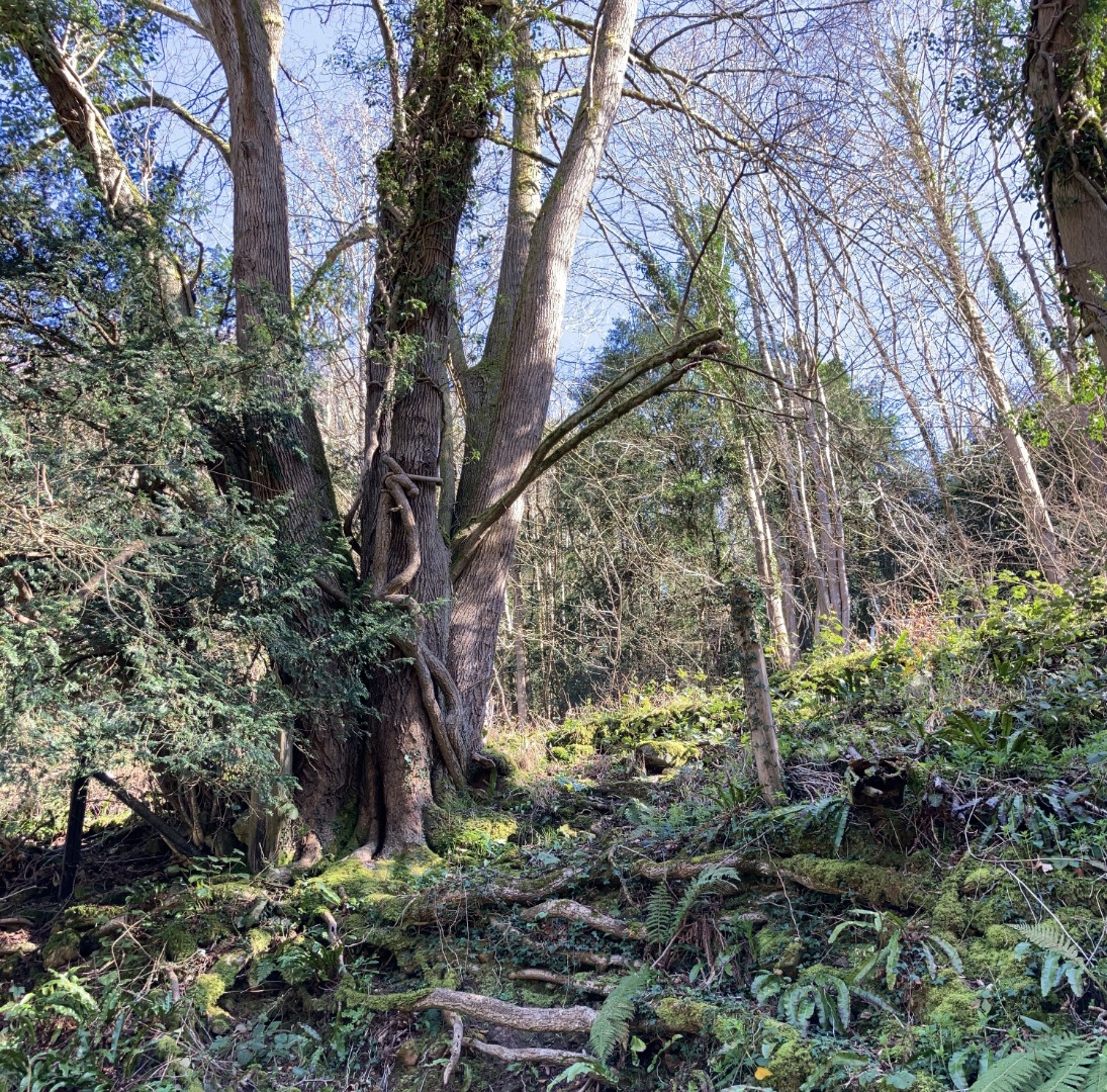 Nature