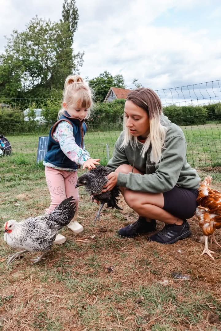Child with chicken
