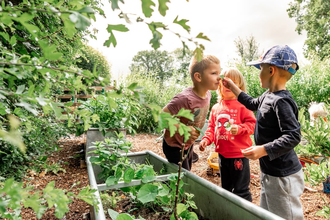 Children in allotment