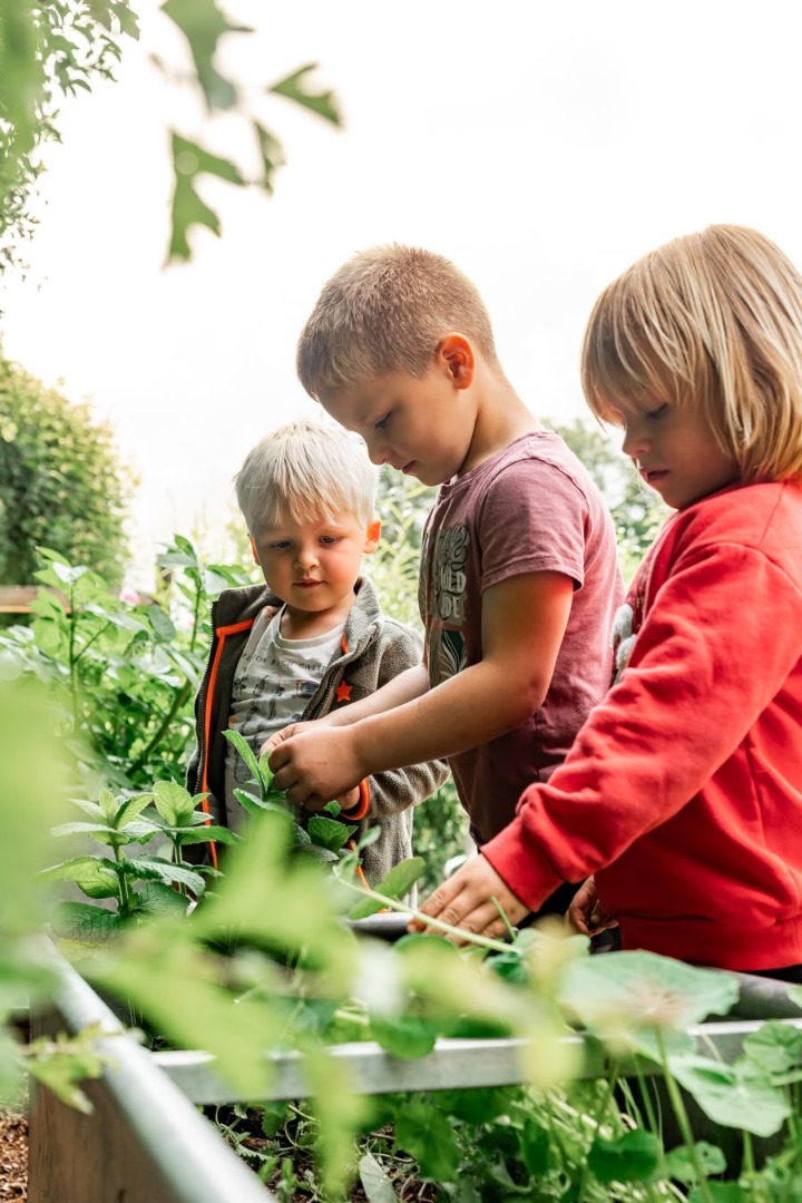 Children with plants