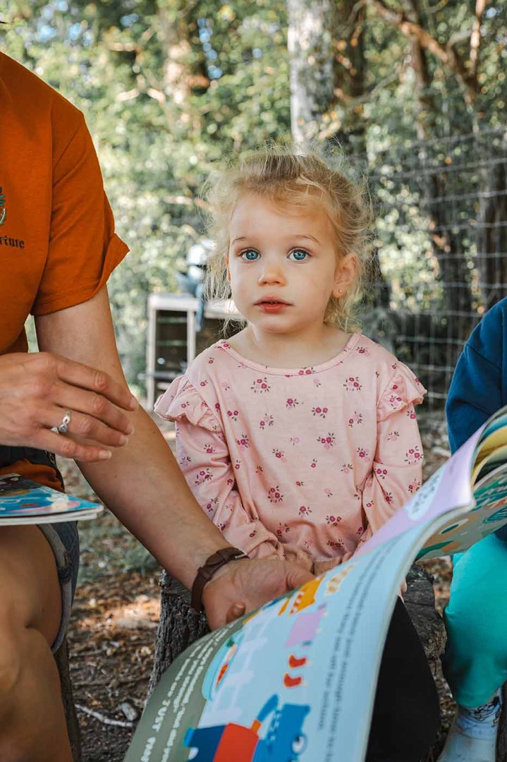 Pretty girl reading