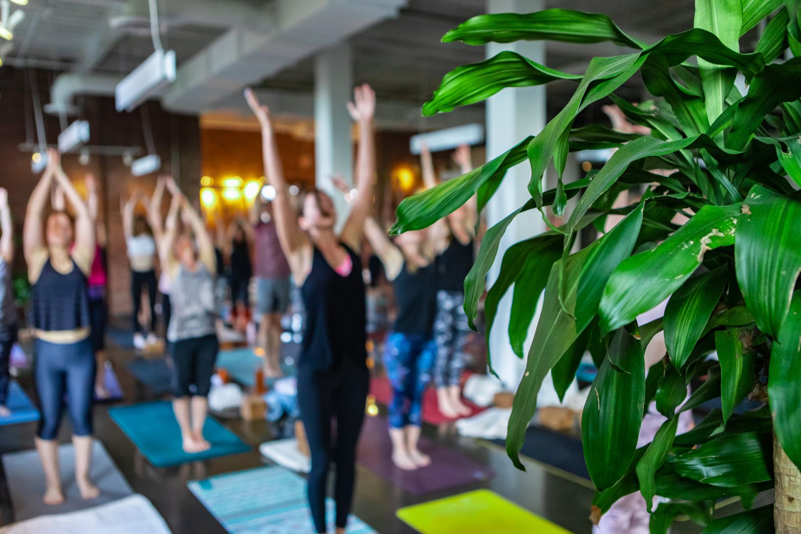 Yoga class