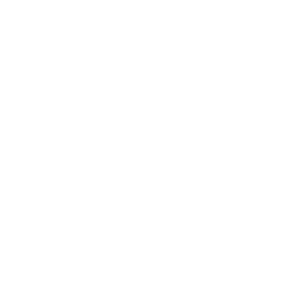 Salsa logo white