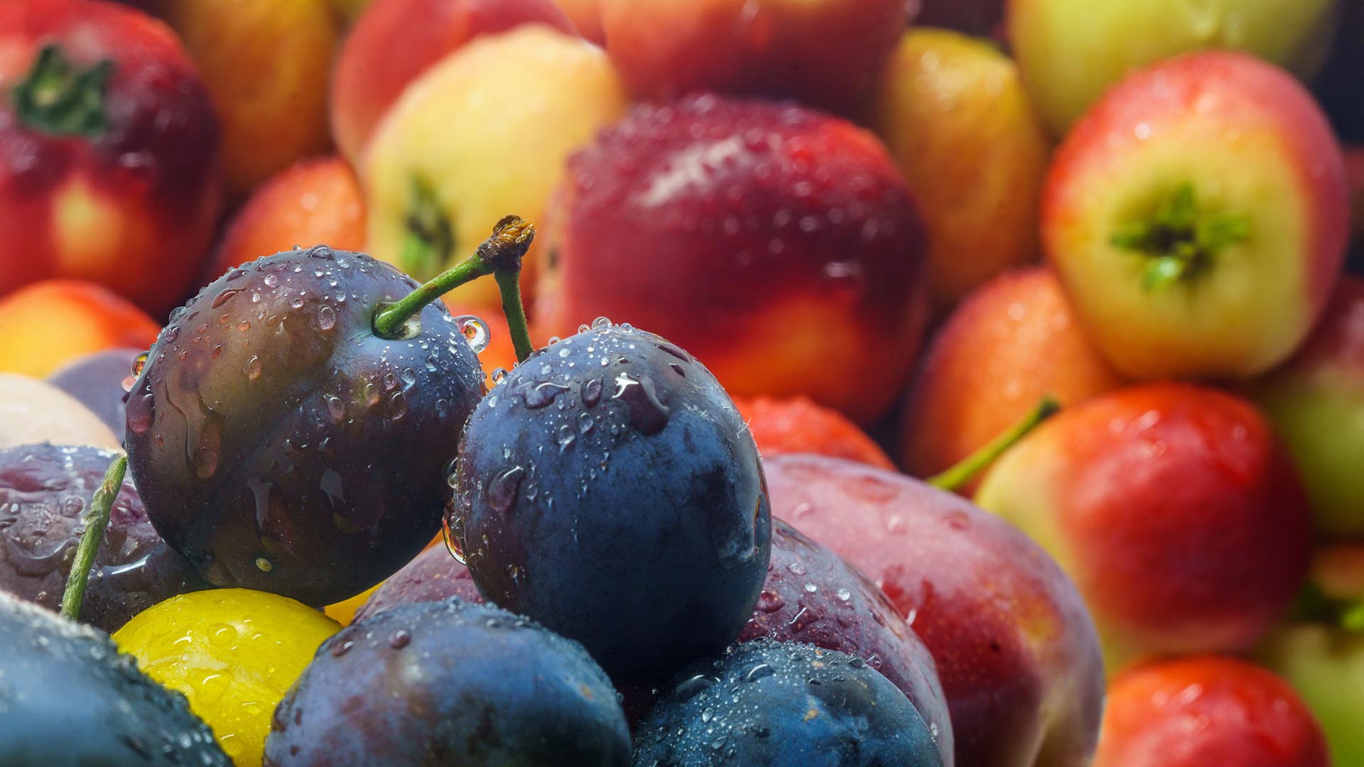 Wholesale Fruit