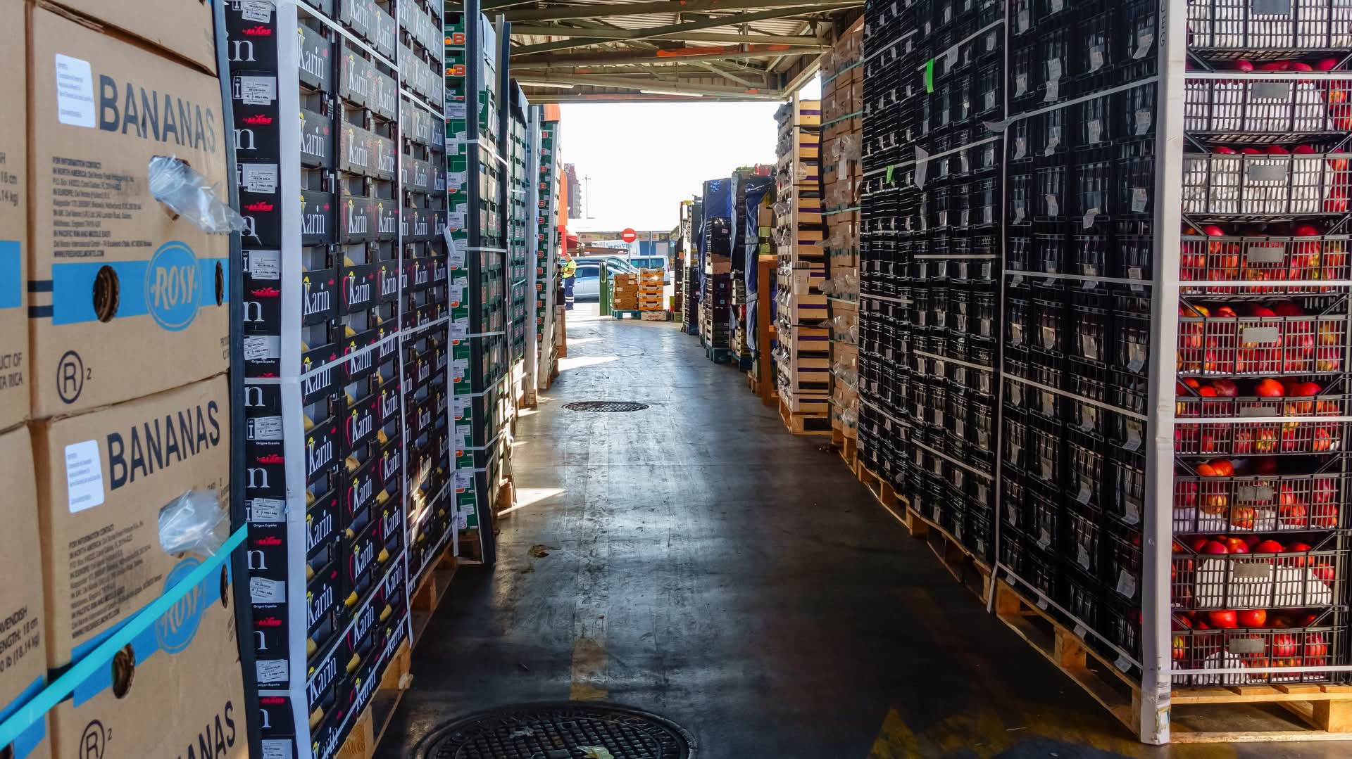 Fruit boxes in warehouse