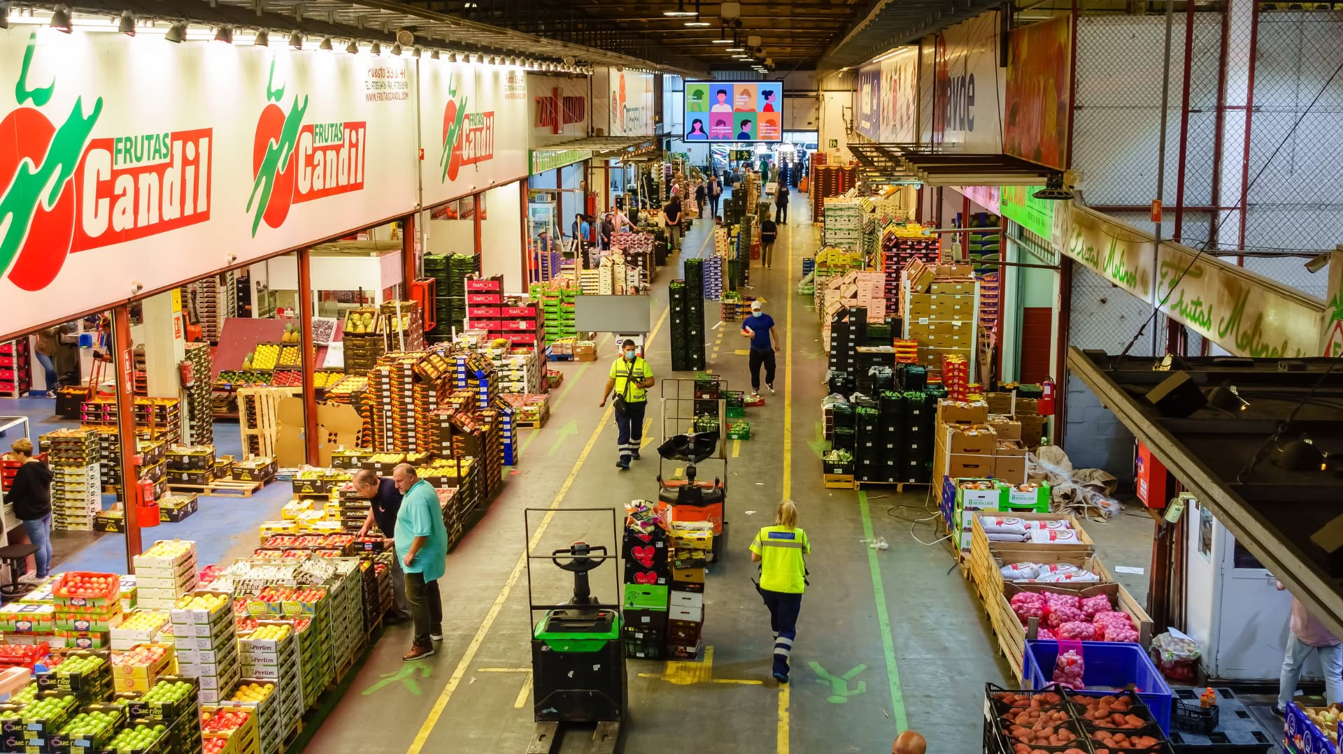 Fruit market