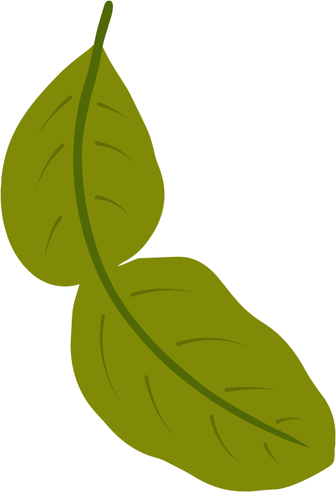 Leaf