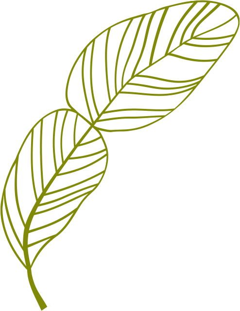 Leaf2