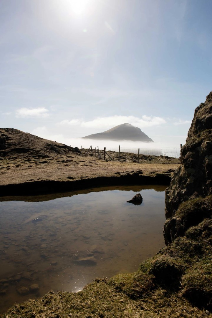 Macalla farm yoga retreat 19