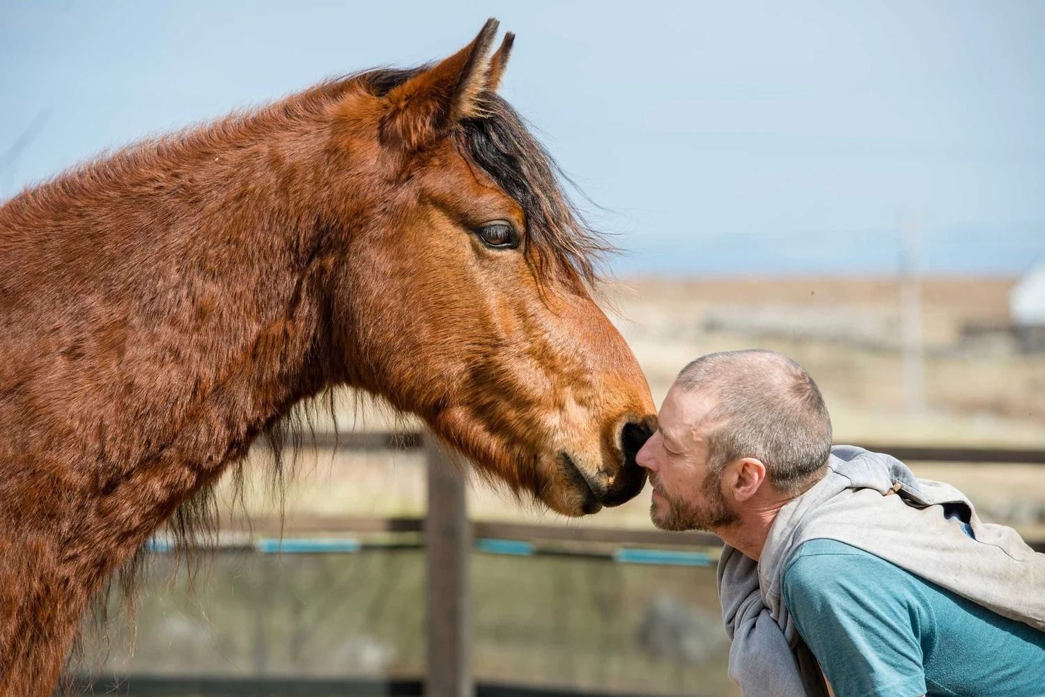 Macalla farm yoga retreat 25