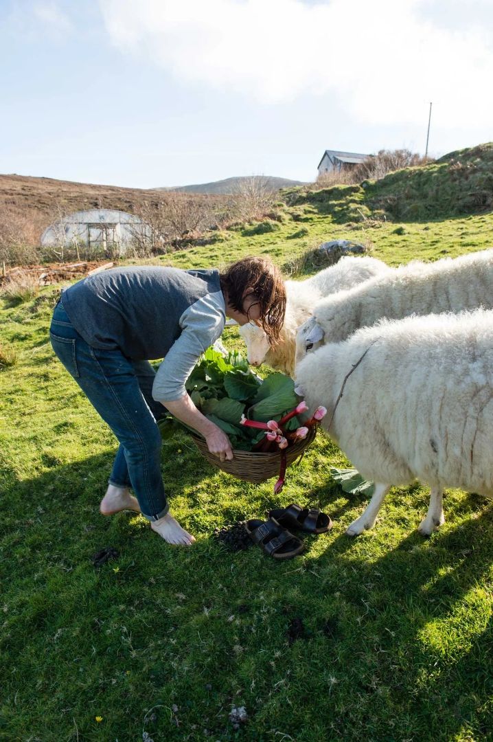 Macalla farm yoga retreat 28