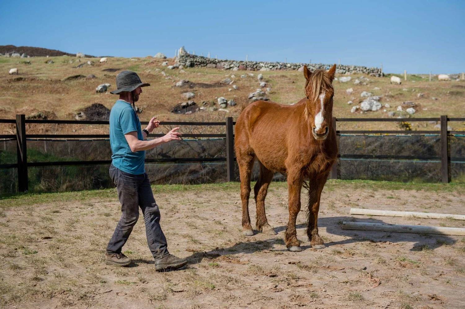 Macalla farm yoga retreat 30