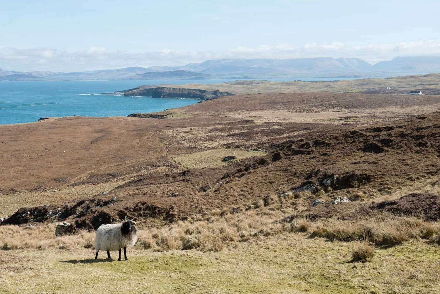 Macalla farm yoga retreat 35