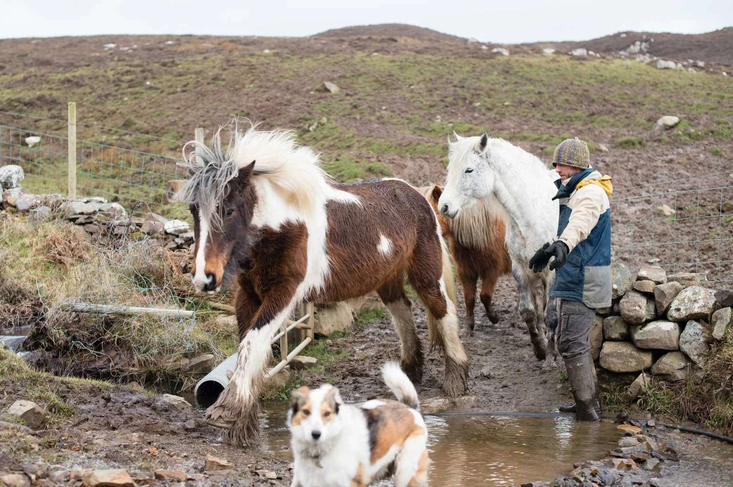 Macalla farm yoga retreat 44