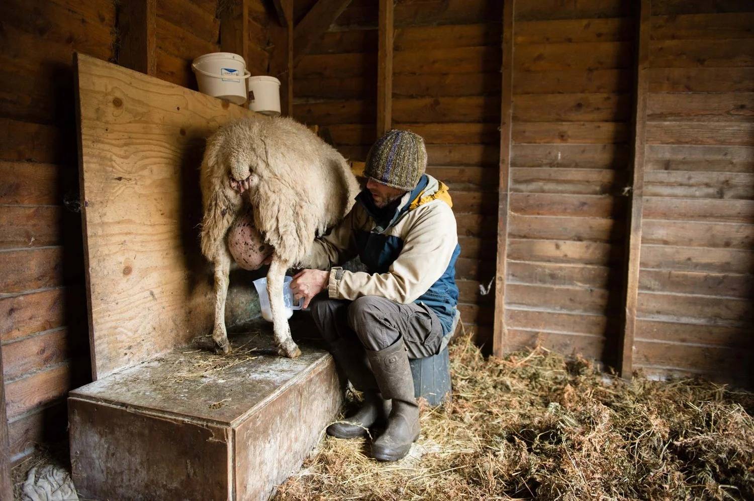 Macalla farm yoga retreat 46