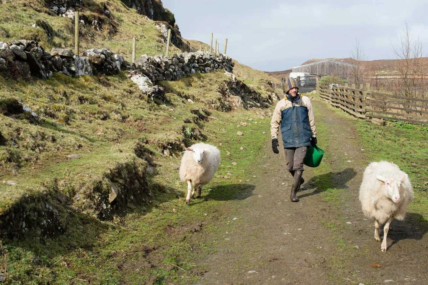 Macalla farm yoga retreat 47