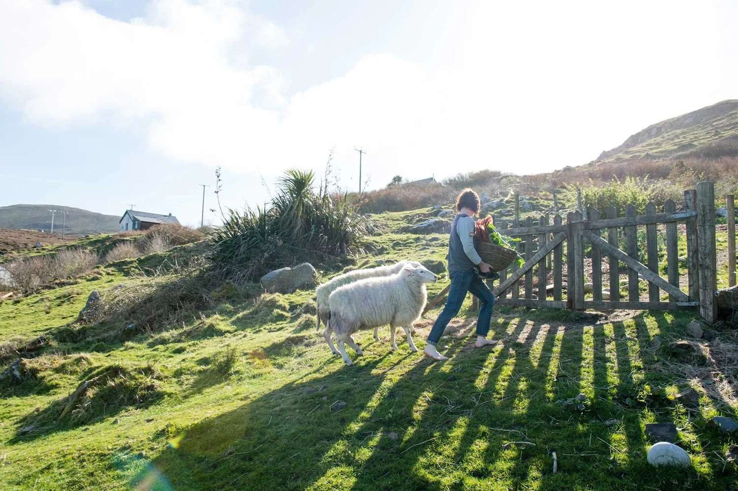 Macalla farm yoga retreat 8