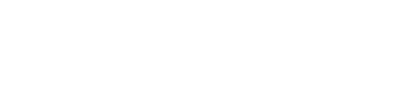 SCC Flat Logo