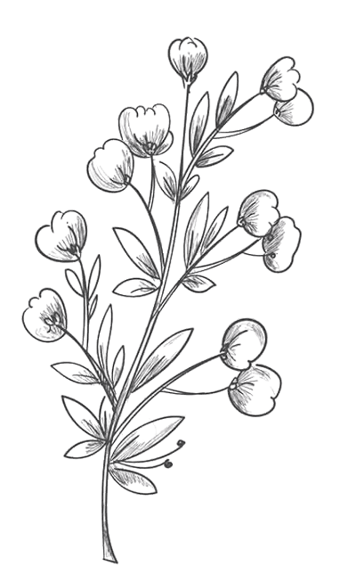 Floral decorative flowers