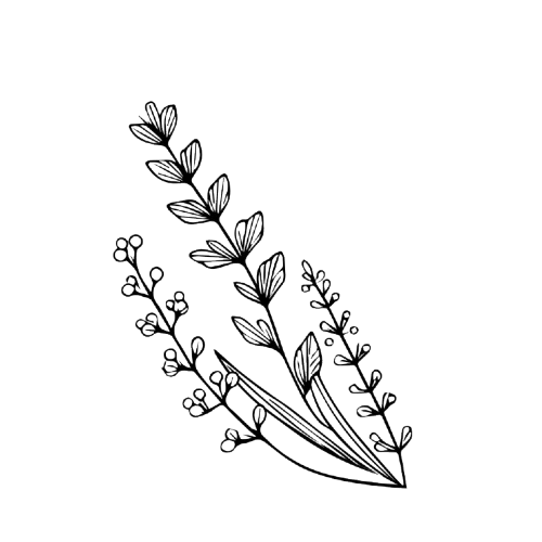 Flower branch with leaves