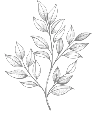 Leafy sprig