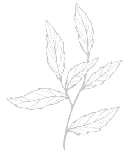 Leaves of wildflowers