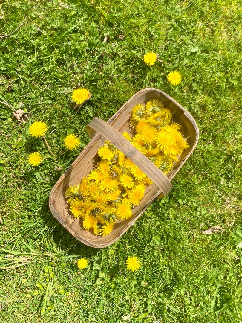 Reconnect. Rewild. Remember.