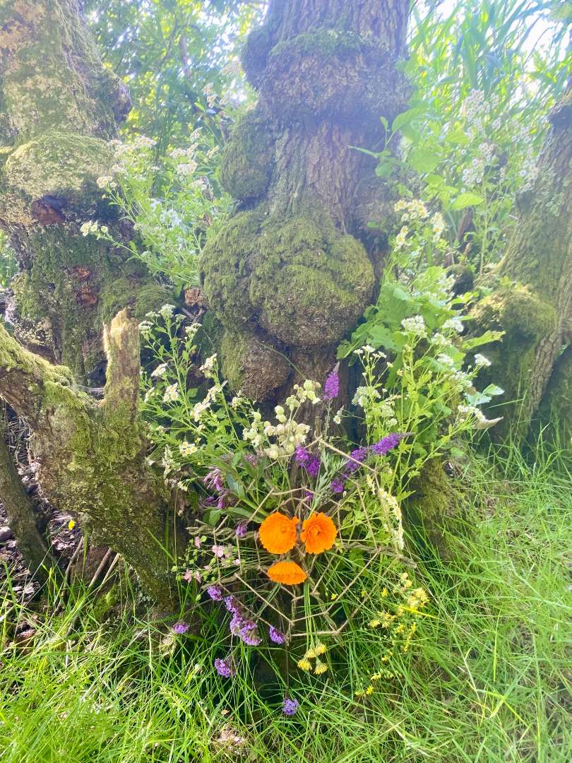 Beautiful flowers near the tree