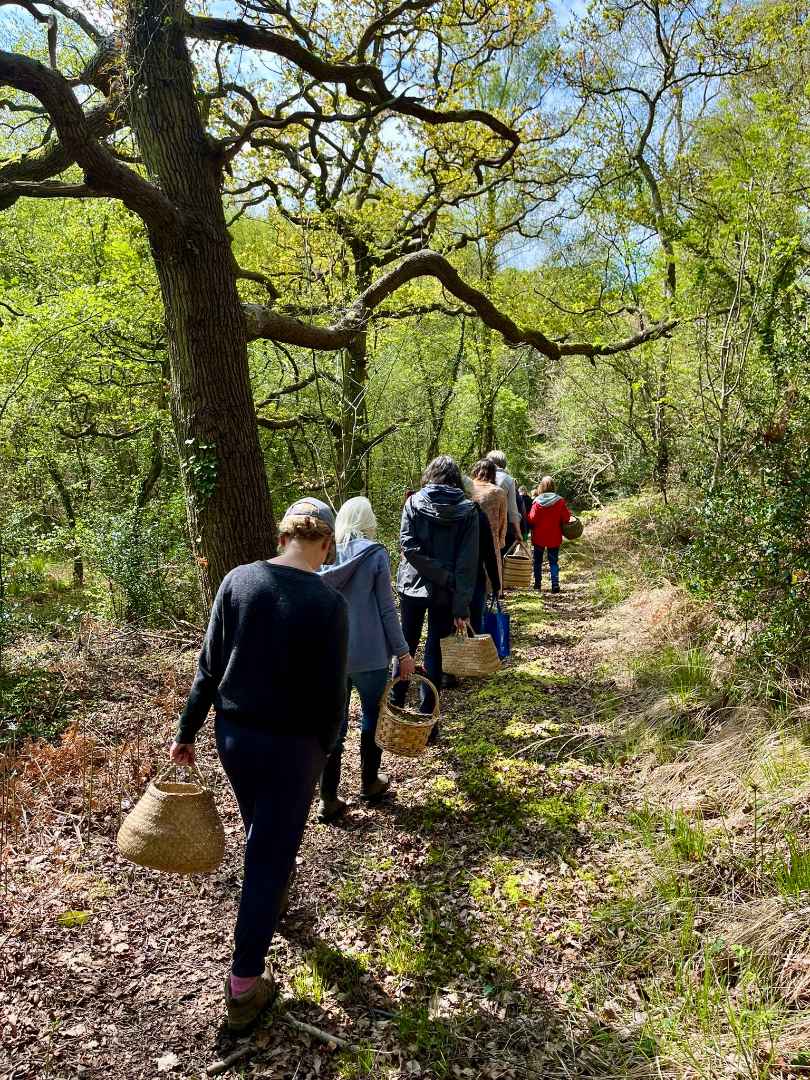 Reconnect. Rewild. Remember.