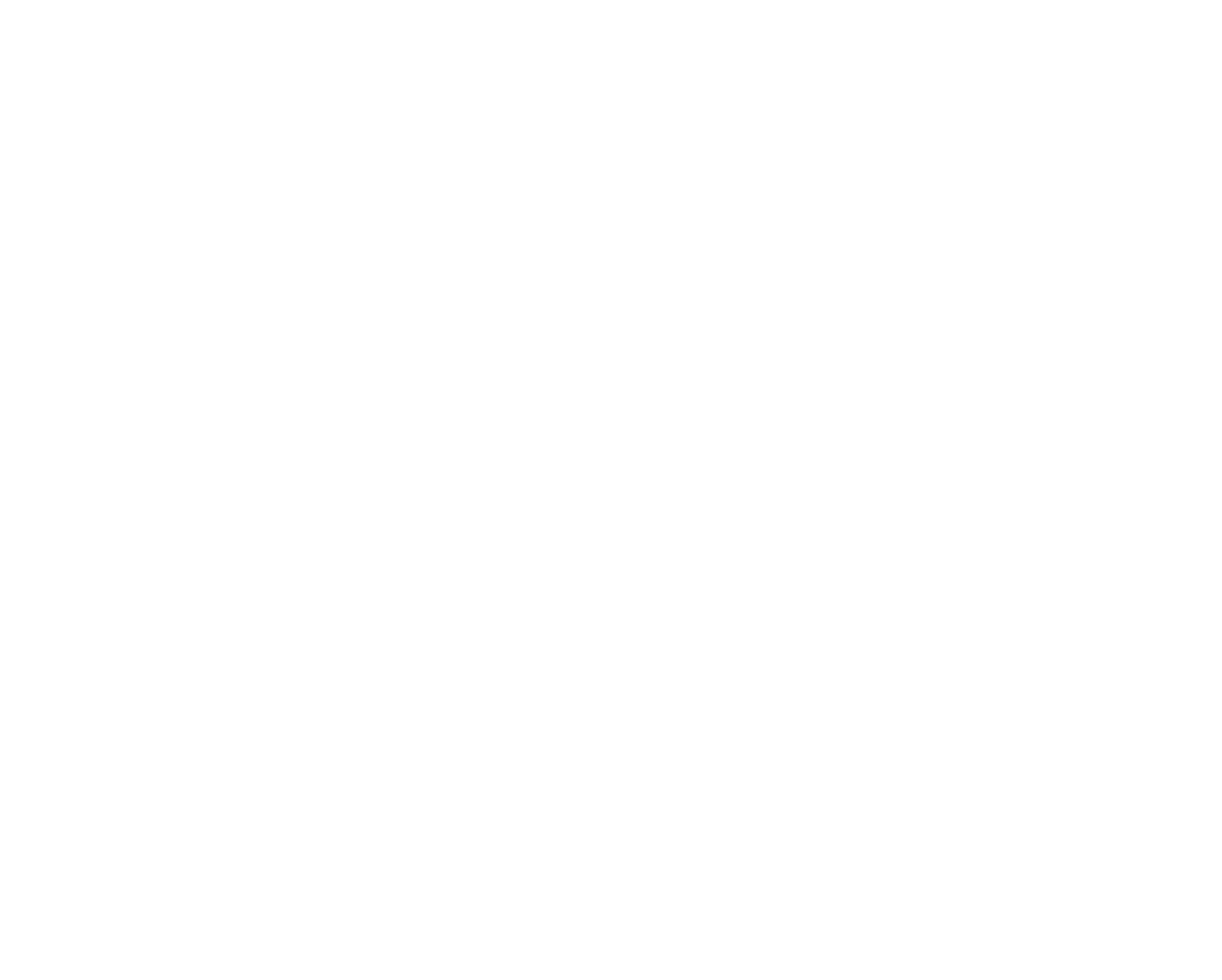 Csg logo white