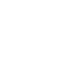 Neuron