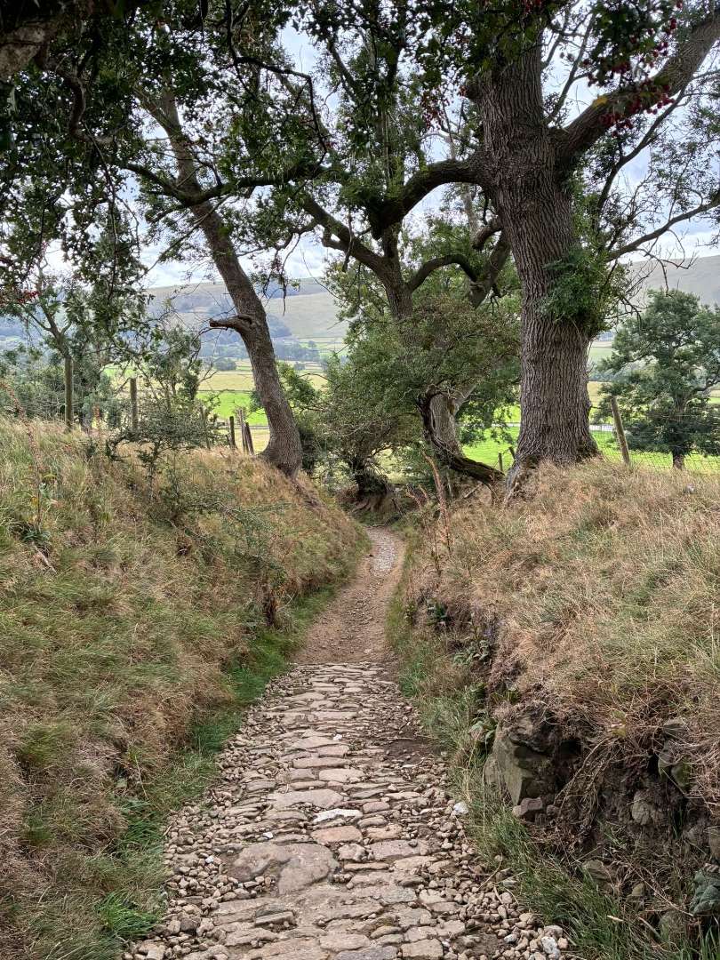 Walk