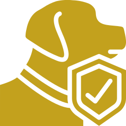 Dog shield yellow