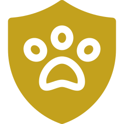 Paw protection yellow