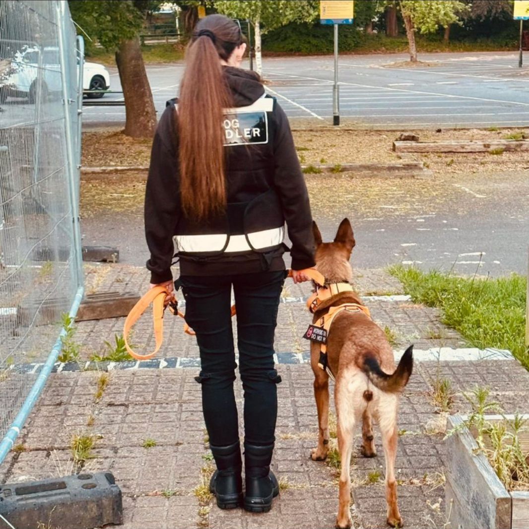 Dog handler walking dog facing away