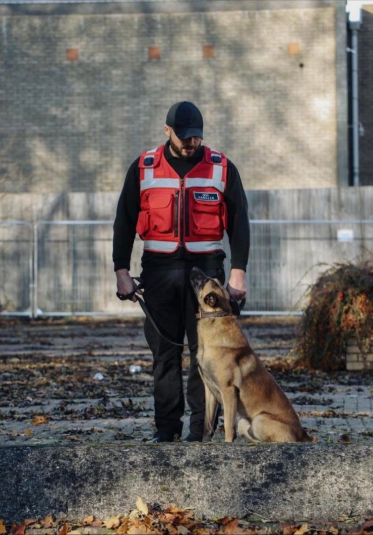 Dog handlers looking at dog