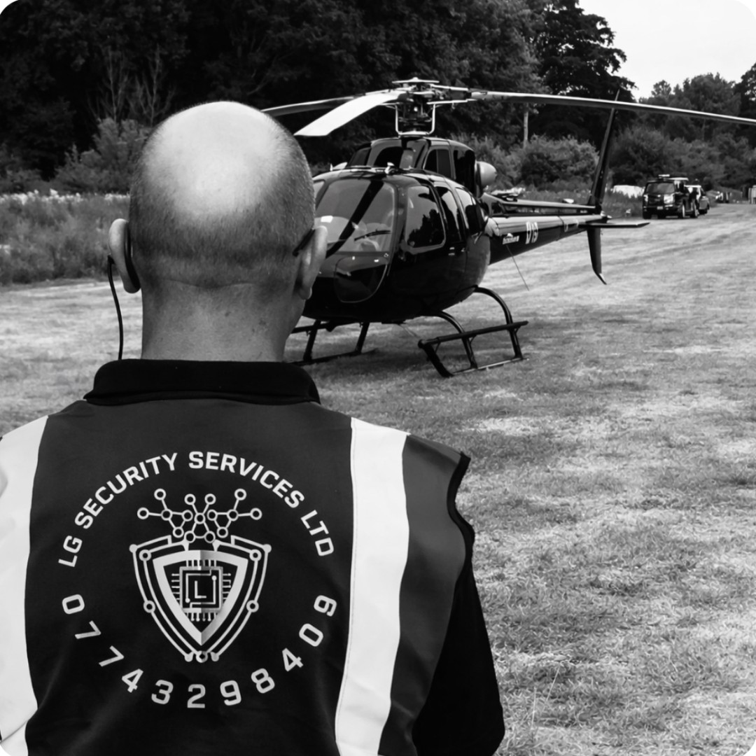 Professional security services