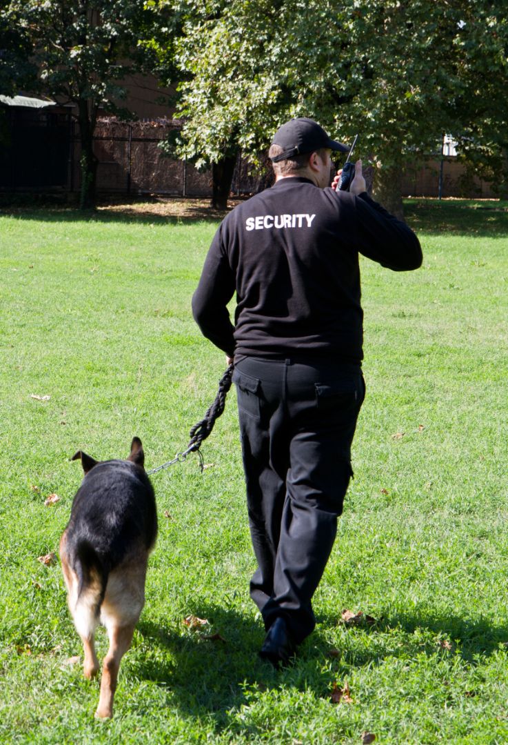 Security standing with dog field
