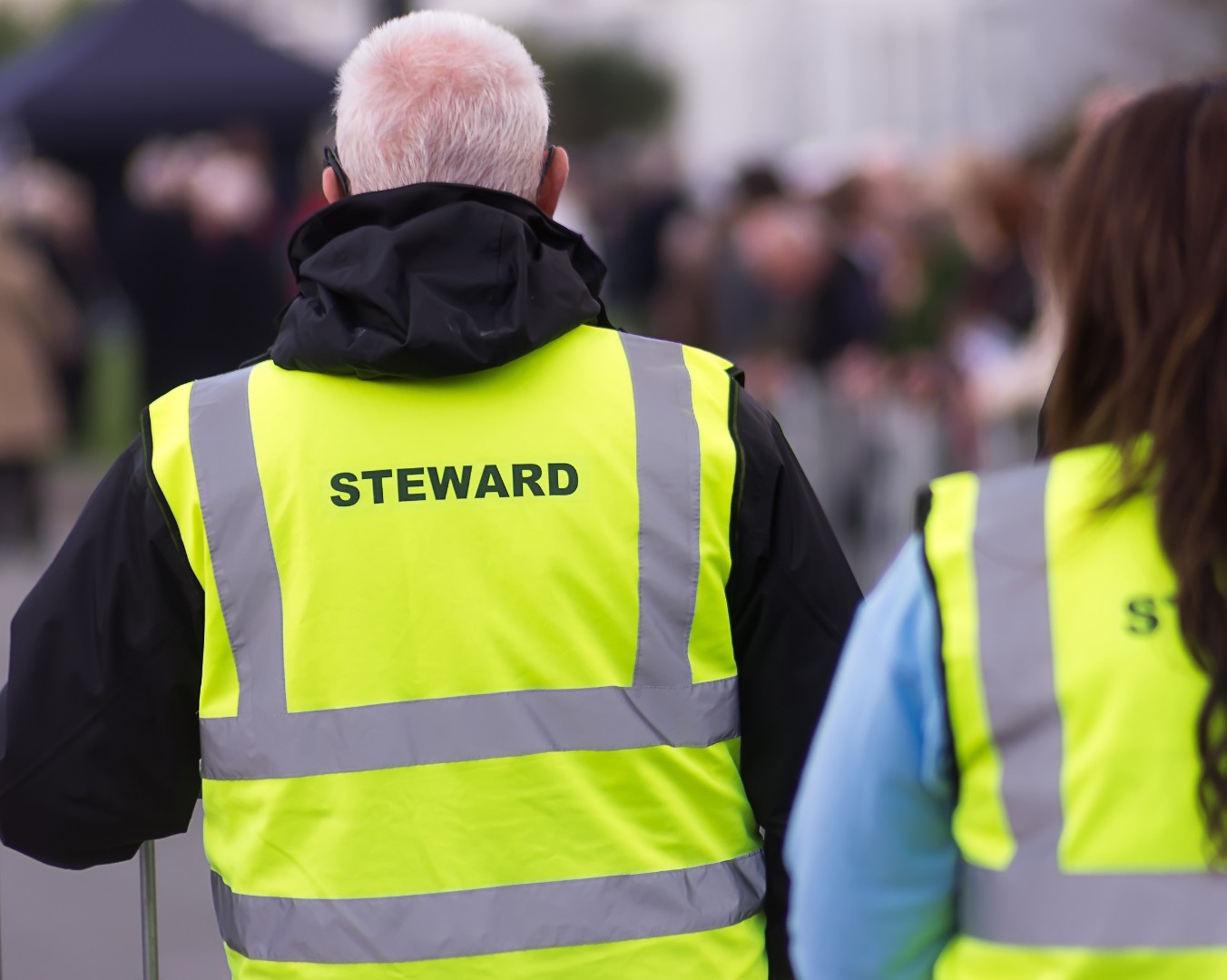 Steward