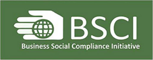 BSCI logo