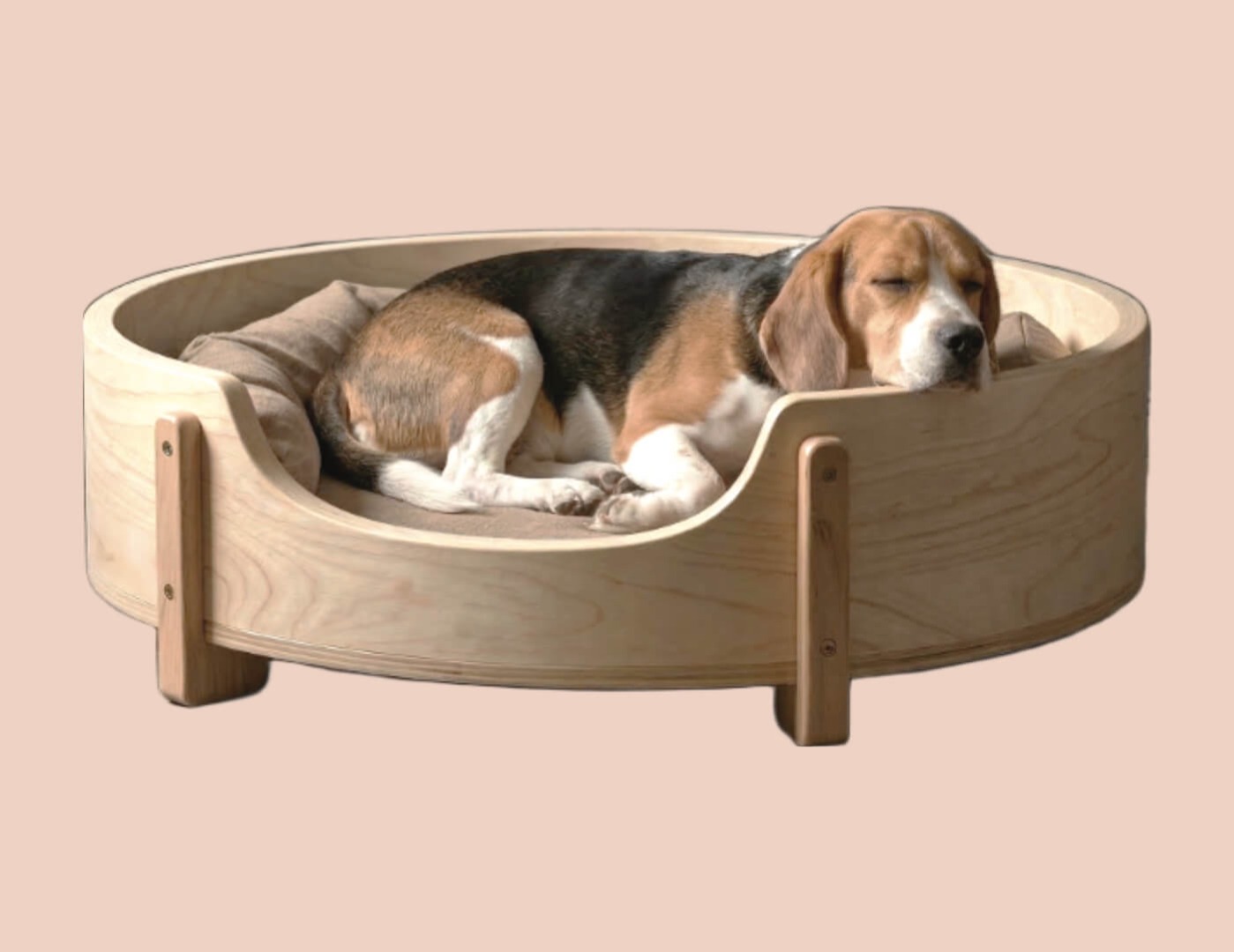 Beagle sleeping in bed