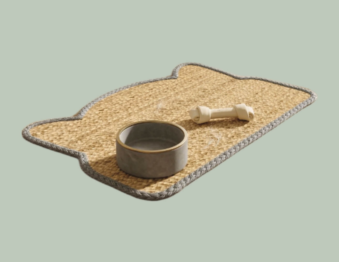 Pet bowl on mat