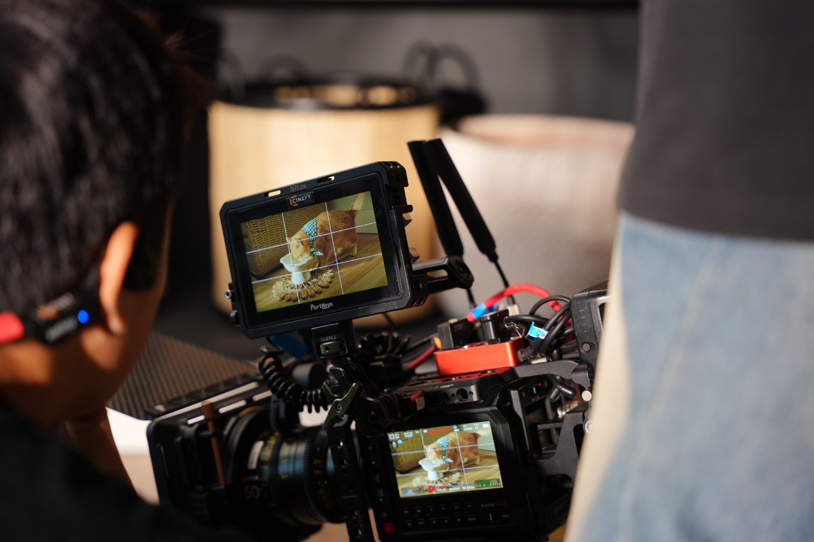 View of the camera