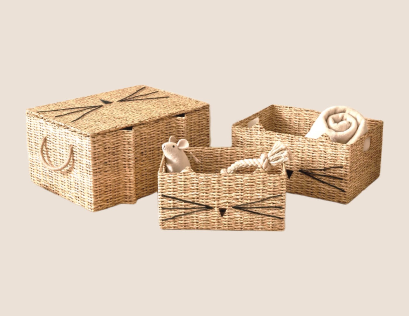 Whisker toy boxes