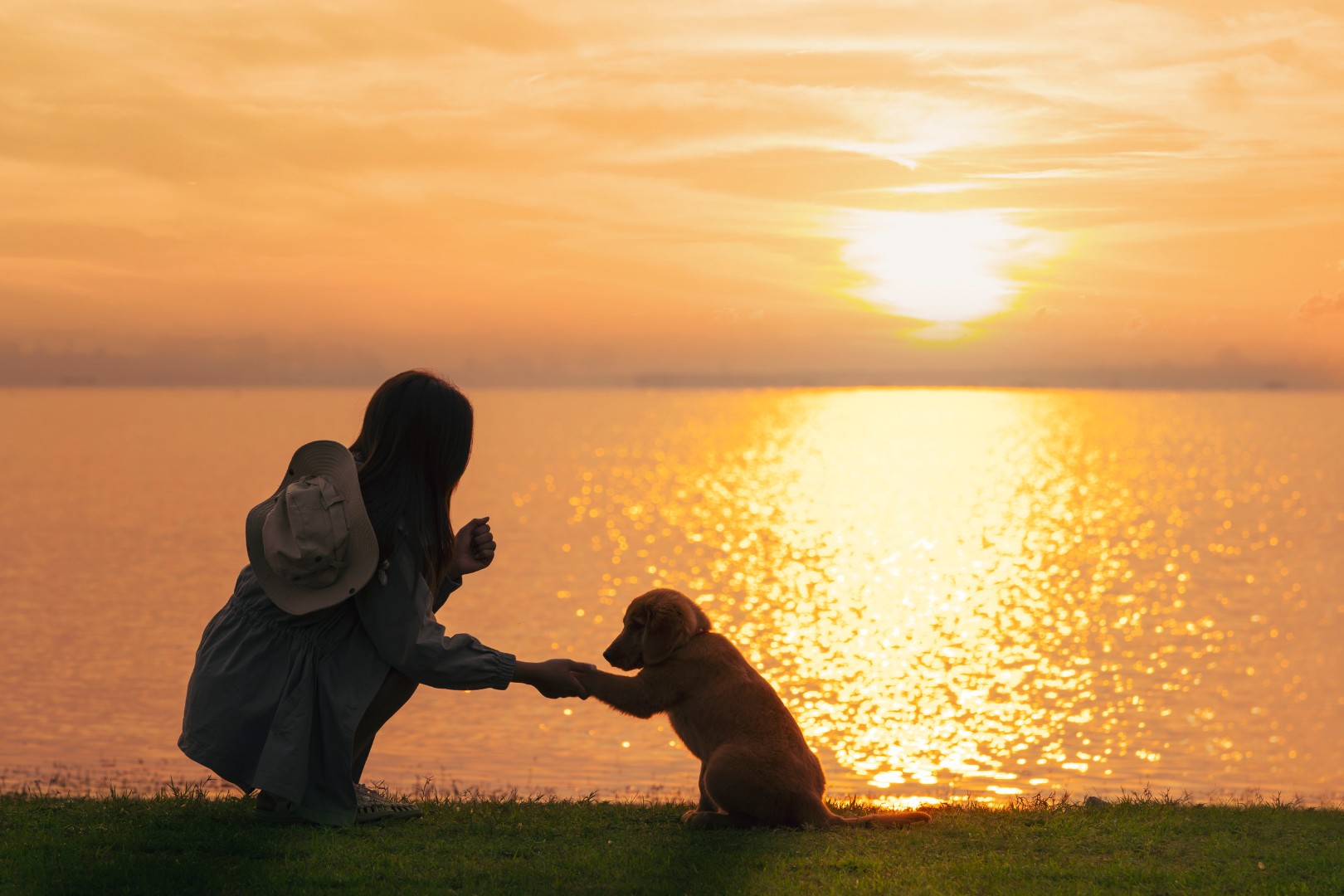 Woman playing with her dog
